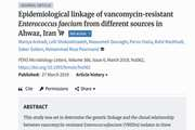 Epidemiological linkage of vancomycin-resistant Enterococcus faecium from different sources in Ahwaz, Iran
